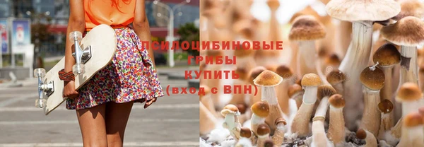 тгк Красноперекопск